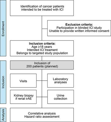 Study protocol: a prospective single-center study for non-invasive biomonitoring of renal complications in cancer patients treated with immune checkpoint inhibitors